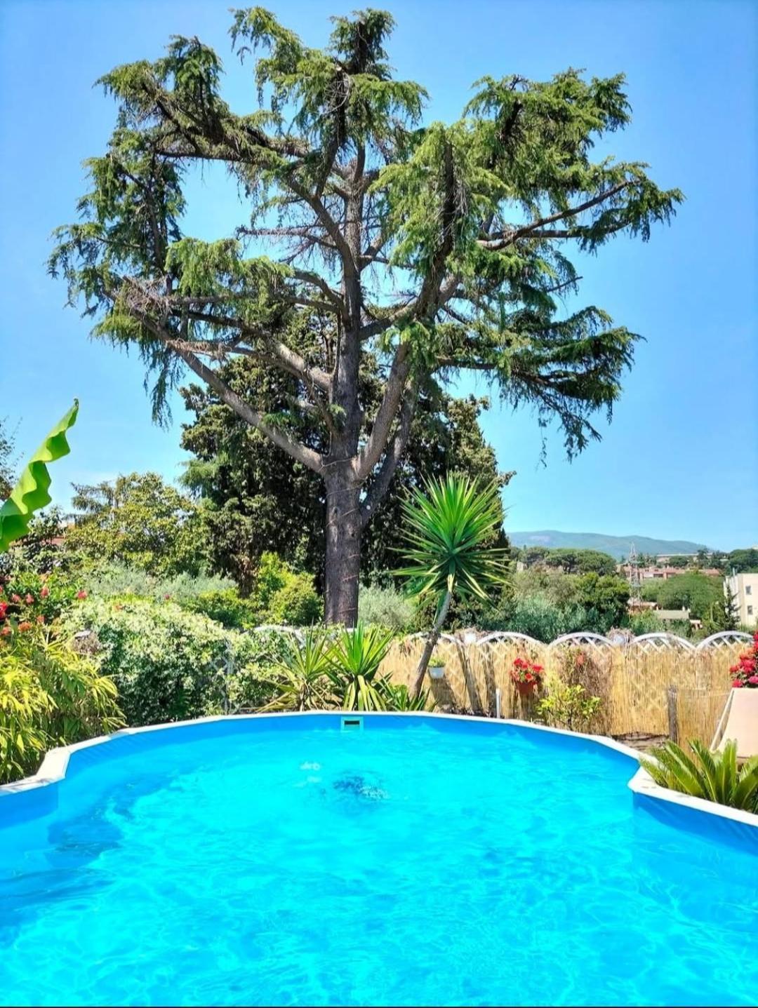 Bed and Breakfast Antico Casale Fabrizi Velletri Exterior foto