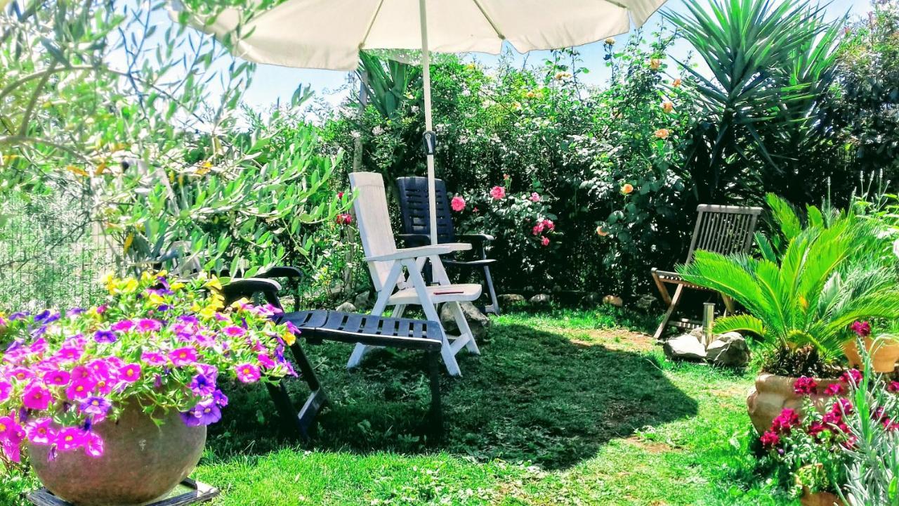 Bed and Breakfast Antico Casale Fabrizi Velletri Exterior foto